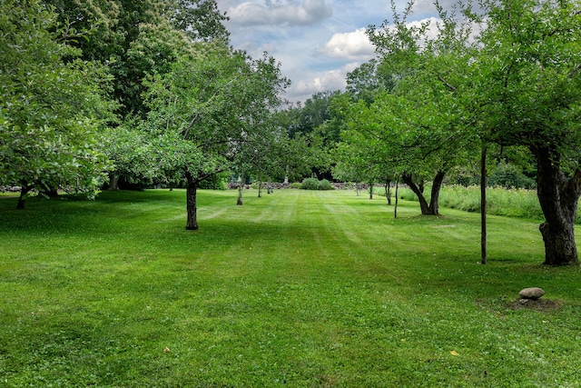 32 Cherniske Rd, New Milford, CT 06776 - view of green lawn