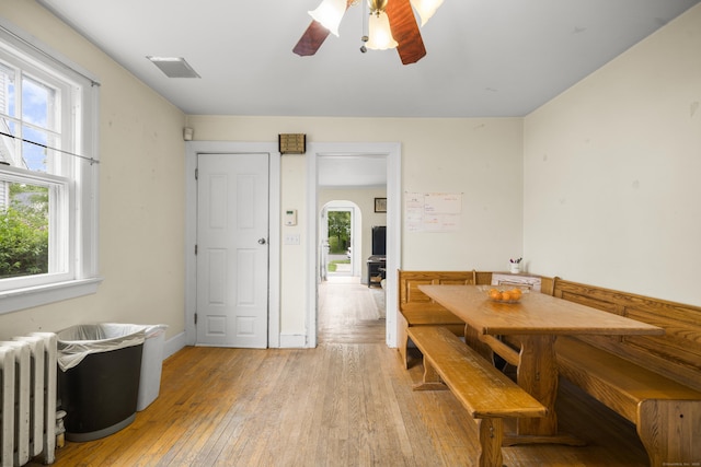 114 Kneeland Rd, New Haven, CT 06512 - dining space featuring plenty of natural light, radiator, light wood-style floors, and ceiling fan