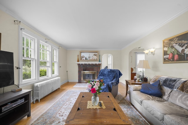 114 Kneeland Rd, New Haven, CT 06512 - living area featuring radiator, a fireplace, ornamental molding, light wood-style flooring, and arched walkways