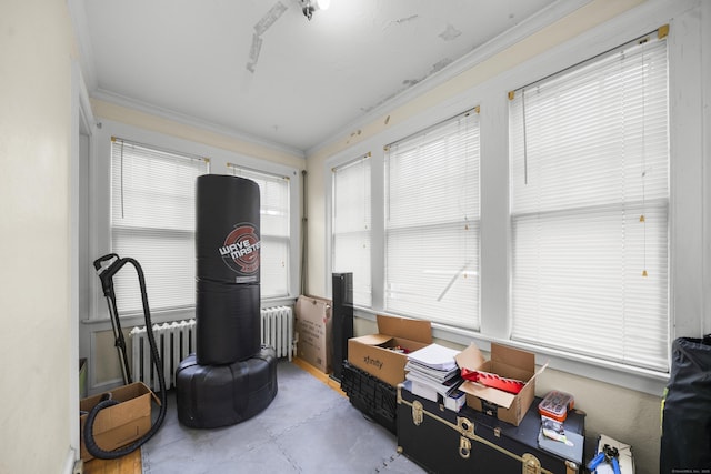 114 Kneeland Rd, New Haven, CT 06512 - sunroom with radiator heating unit