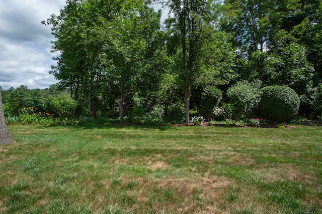 14 Old Mill Ct Unit 14, Simsbury, CT 06070 - view of grassy yard