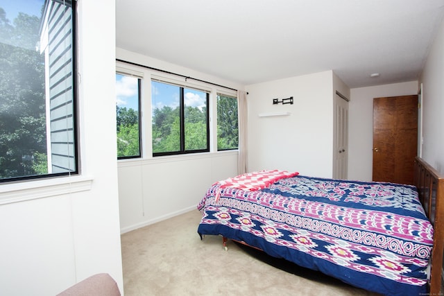 14 Old Mill Ct Unit 14, Simsbury, CT 06070 - bedroom with multiple windows and carpet flooring