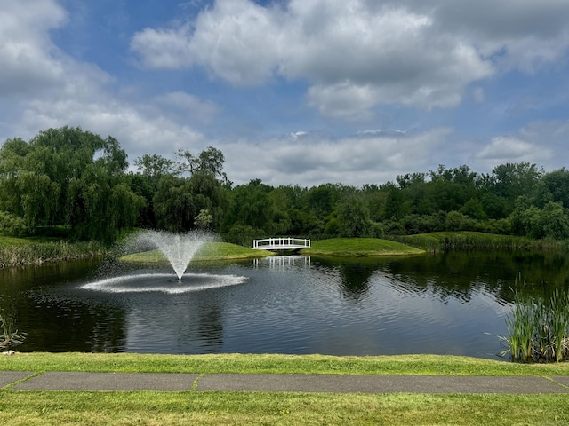 1018 Long Hill Rd, Middletown, CT 06457 - water view featuring a forest