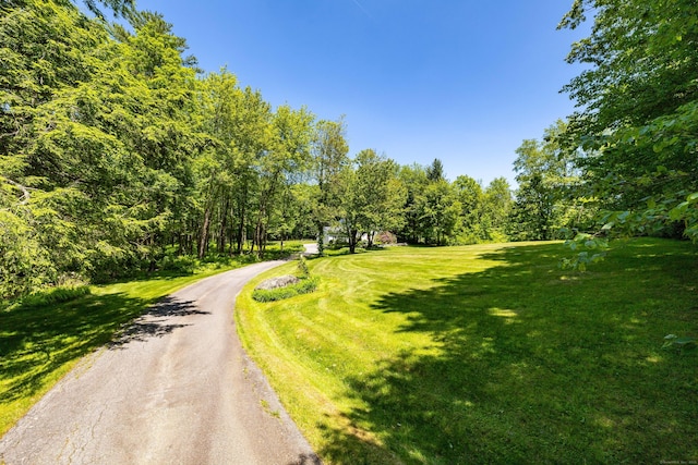 318 Milton Rd, Litchfield, CT 06759 - view of street featuring a wooded view