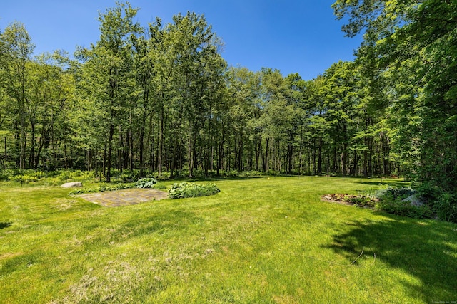 318 Milton Rd, Litchfield, CT 06759 - view of grassy yard with a wooded view