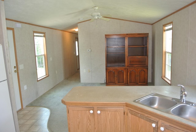 8 Barn Ln, Milford, CT 06460 - kitchen with light carpet, ceiling fan, light countertops, lofted ceiling, and crown molding
