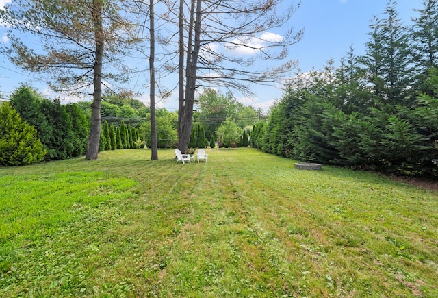 10 Harding Ave, Newington, CT 06111 - view of green lawn