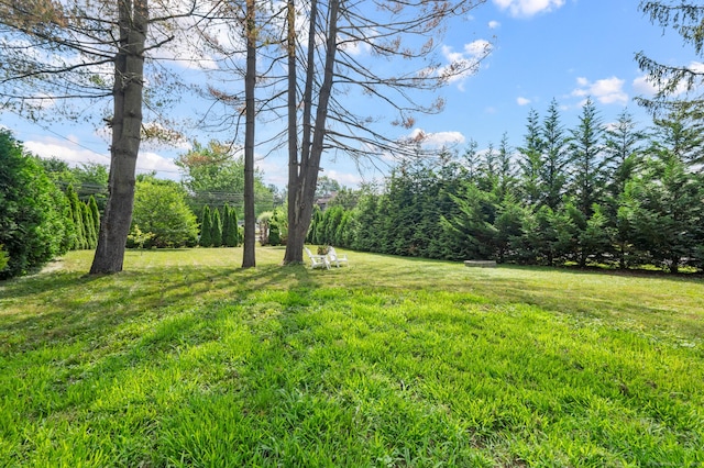 10 Harding Ave, Newington, CT 06111 - view of green lawn