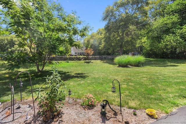367 Pine Hill Rd, Sterling, CT 06377 - view of green lawn