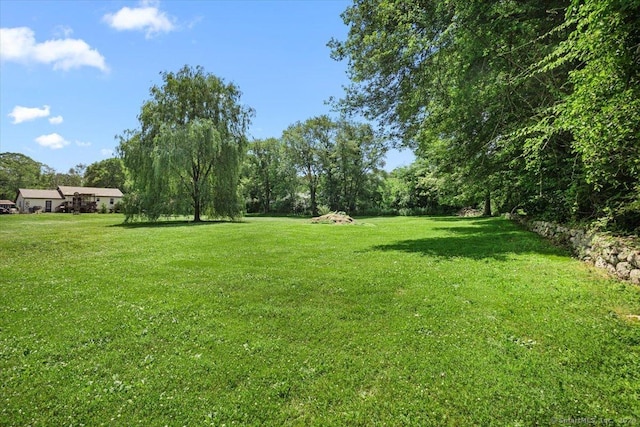 367 Pine Hill Rd, Sterling, CT 06377 - view of green lawn