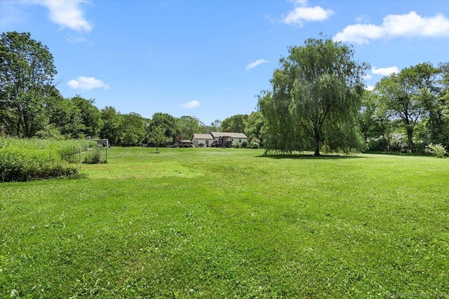 367 Pine Hill Rd, Sterling, CT 06377 - view of grassy yard