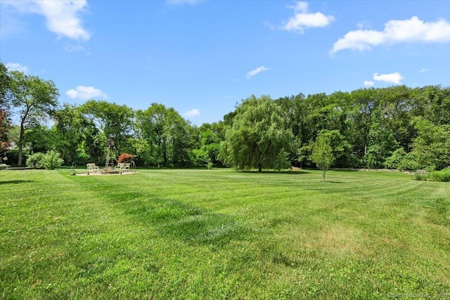 367 Pine Hill Rd, Sterling, CT 06377 - view of grassy yard