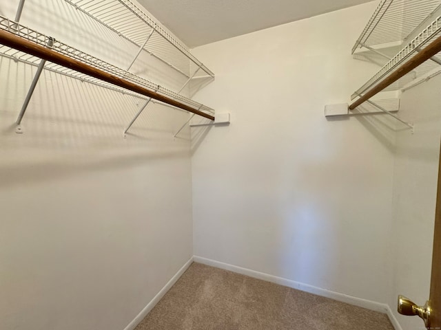 1730 State St Apt 306, Hamden, CT 06517 - spacious closet with carpet