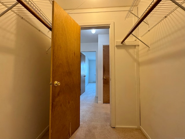 1730 State St Apt 306, Hamden, CT 06517 - walk in closet featuring carpet floors