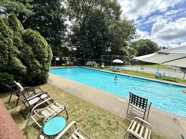 92 Wilton Crst, Wilton, CT 06897 - community pool with view of scattered trees