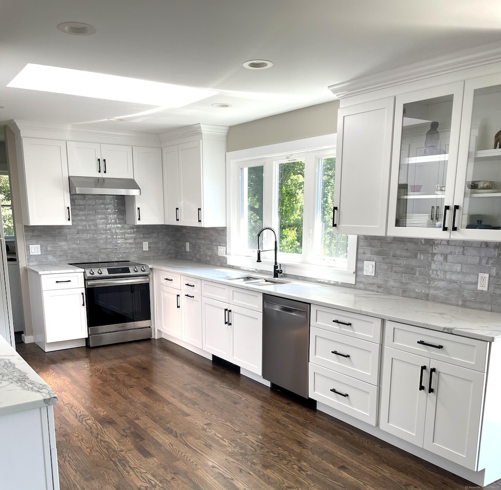 10 Hattertown Rd, Newtown, CT 06470 - kitchen featuring stainless steel appliances, under cabinet range hood, tasteful backsplash, plenty of natural light, and recessed lighting