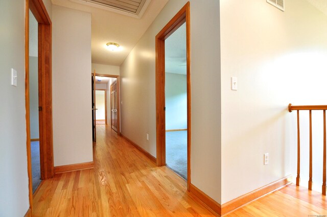 146 Pheasant Way S, Windsor, CT 06074 - corridor with light wood-style flooring and baseboards