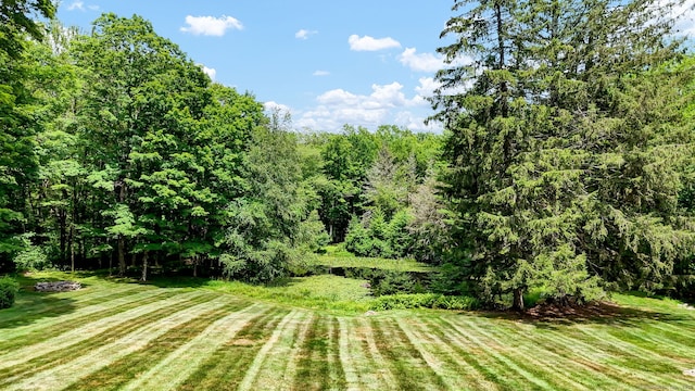 795 Rte 148, Killingworth, CT 06419 - view of grassy yard