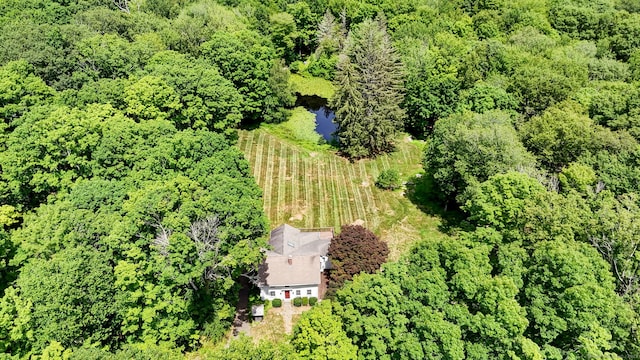 795 Rte 148, Killingworth, CT 06419 - drone / aerial view of a forest