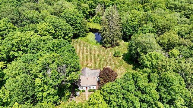 795 Rte 148, Killingworth, CT 06419 - photo 34