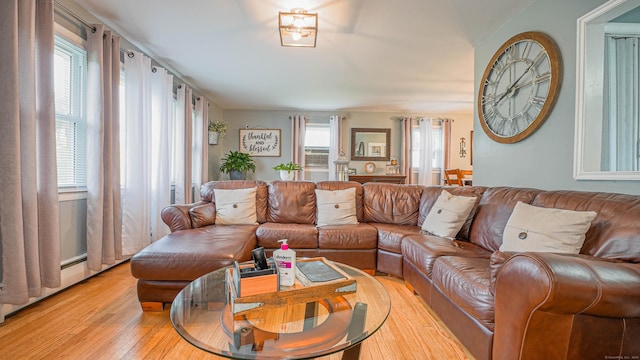 83 View Ter, East Haven, CT 06512 - living room featuring light wood-style flooring