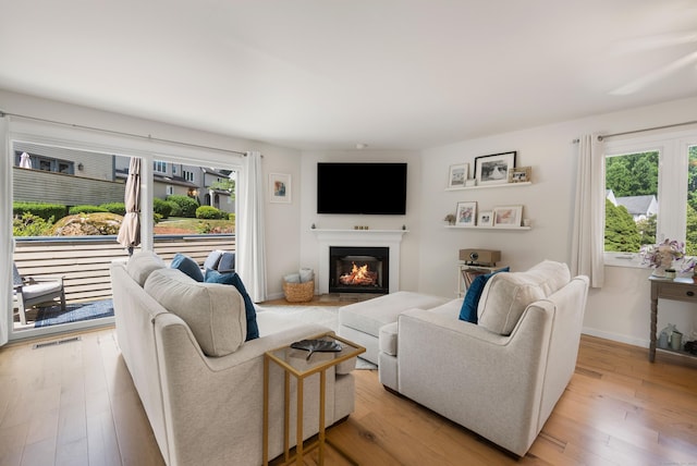 76 Cedarcrest Ct Unit 76, Shelton, CT 06484 - living room with plenty of natural light, a glass covered fireplace, and light wood-style flooring