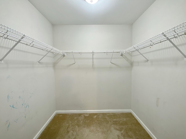 260 Stearns Rd, Mansfield, CT 06268 - walk in closet featuring carpet