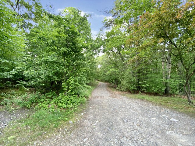 260 Stearns Rd, Mansfield, CT 06268 - view of street with a forest view