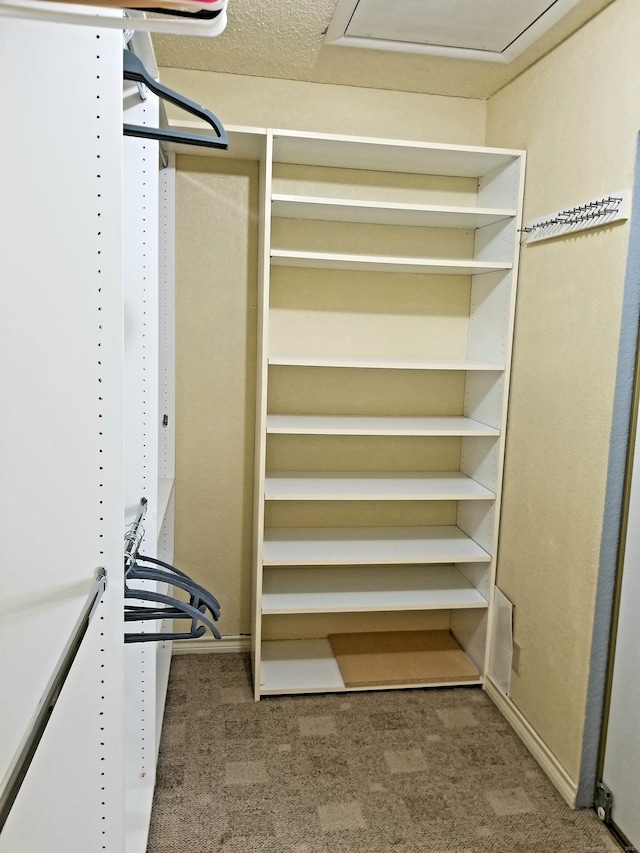 31 High St Apt 11206, East Hartford, CT 06118 - spacious closet featuring carpet floors and attic access