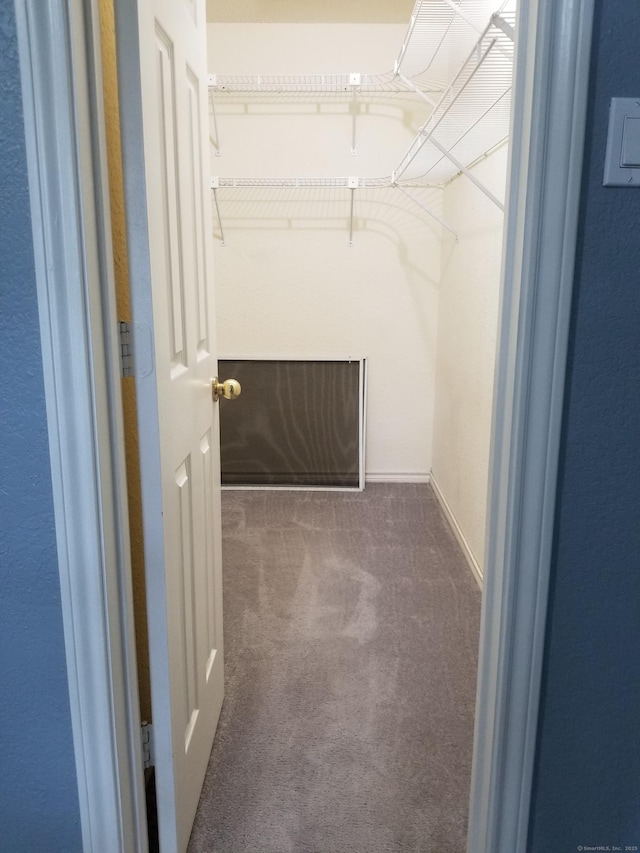 31 High St Apt 11206, East Hartford, CT 06118 - spacious closet with carpet floors