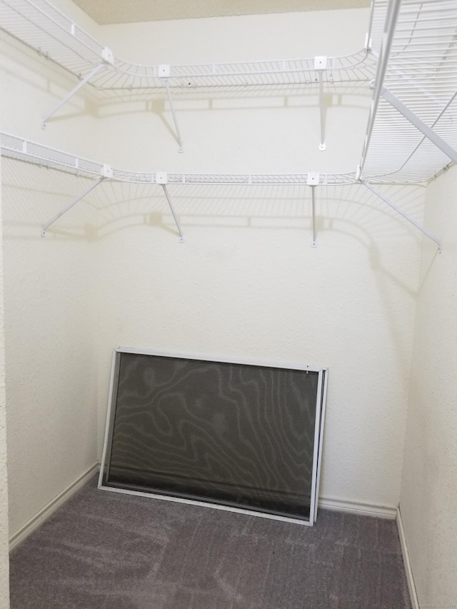31 High St Apt 11206, East Hartford, CT 06118 - walk in closet with carpet floors