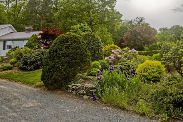 9 Mountain Rd, Granby, CT 06060 - view of yard