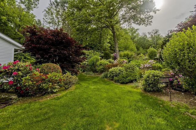 9 Mountain Rd, Granby, CT 06060 - view of grassy yard