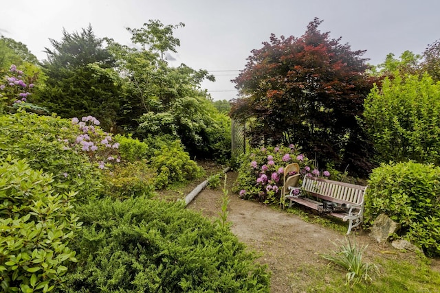 9 Mountain Rd, Granby, CT 06060 - view of yard