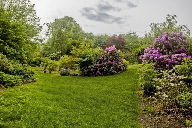 9 Mountain Rd, Granby, CT 06060 - view of grassy yard