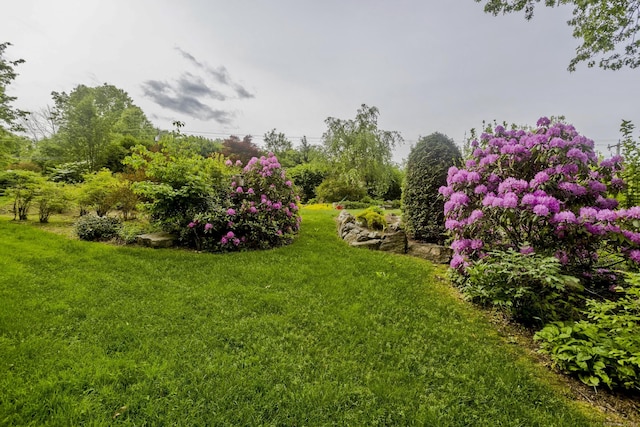 9 Mountain Rd, Granby, CT 06060 - view of grassy yard