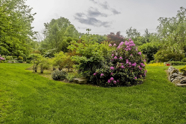 9 Mountain Rd, Granby, CT 06060 - view of green lawn