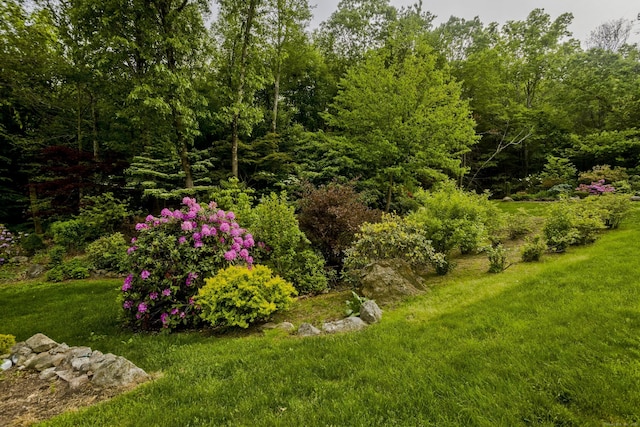 9 Mountain Rd, Granby, CT 06060 - view of green lawn