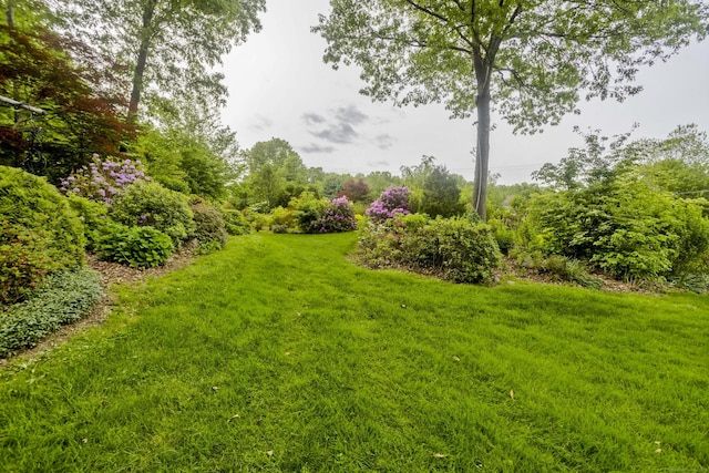 9 Mountain Rd, Granby, CT 06060 - view of grassy yard