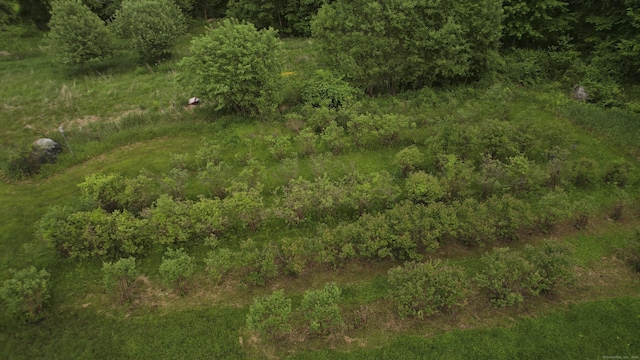 9 Mountain Rd, Granby, CT 06060 - aerial view of property and surrounding area
