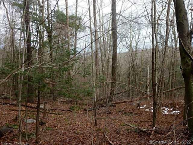 23 Deer Run Rd, Canton, CT 06019