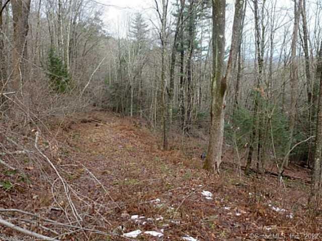 23 Deer Run Rd, Canton, CT 06019