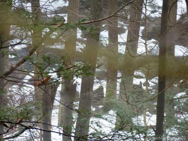 23 Deer Run Rd, Canton, CT 06019