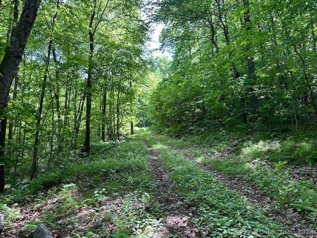 0 Couch Rd, Warren, CT 06754