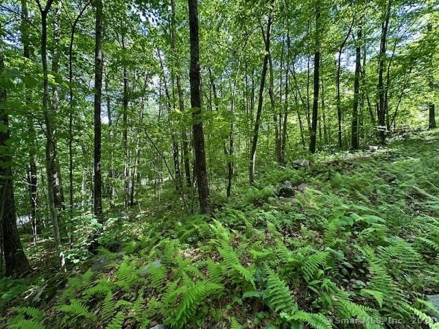 0 Couch Rd, Warren, CT 06754