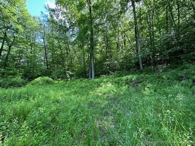 0 Couch Rd, Warren, CT 06754