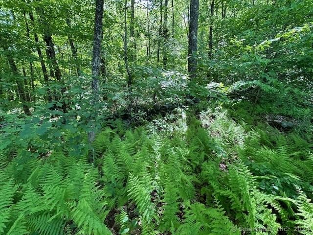 0 Couch Rd, Warren, CT 06754