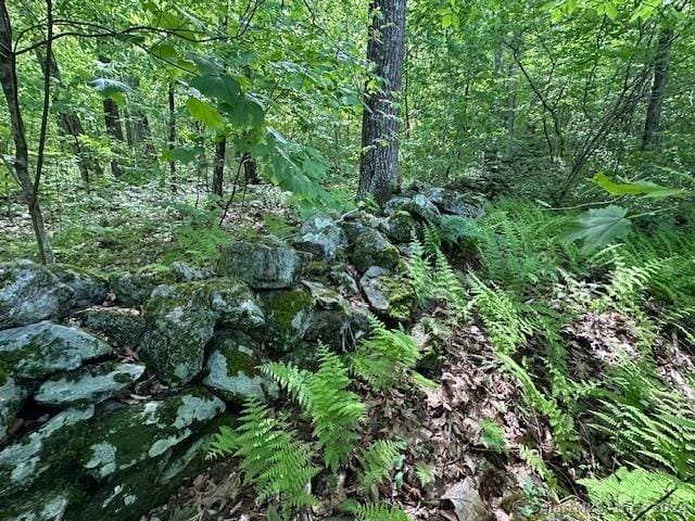 0 Couch Rd, Warren, CT 06754