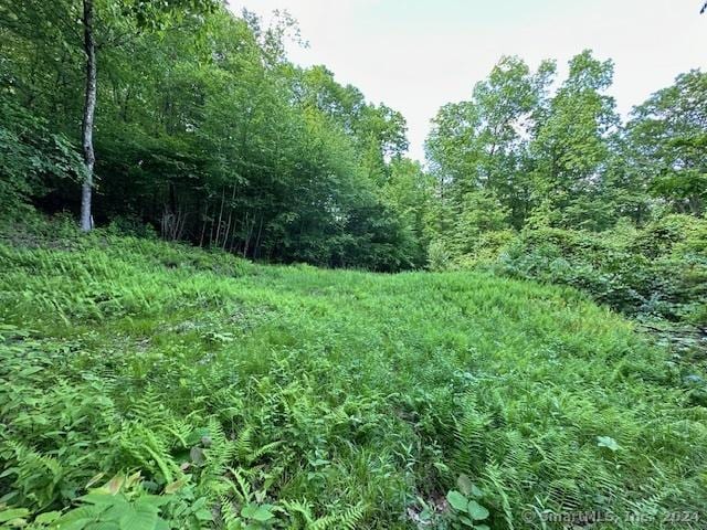 0 Couch Rd, Warren, CT 06754