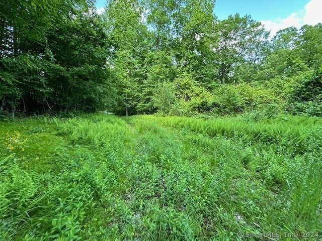 0 Couch Rd, Warren, CT 06754